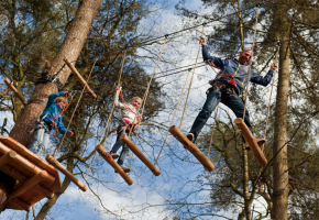 hindernissen op hoogte in de tokkelbaan in het Klimbos Friesland