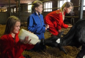 boerderijfeestje, kinderfeestje op de boerderij