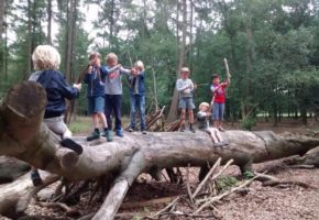 kinderfeestjes in de natuur