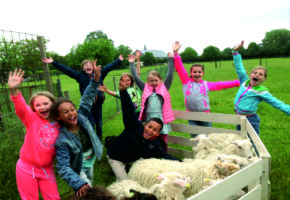 kinderfeestje schapendrijven